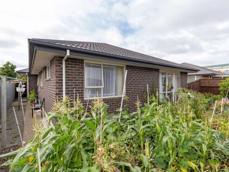 44a Springs Road Hornby_16
