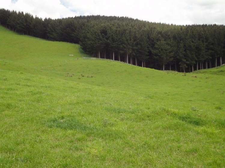 268 Druce Road Kumeroa_5