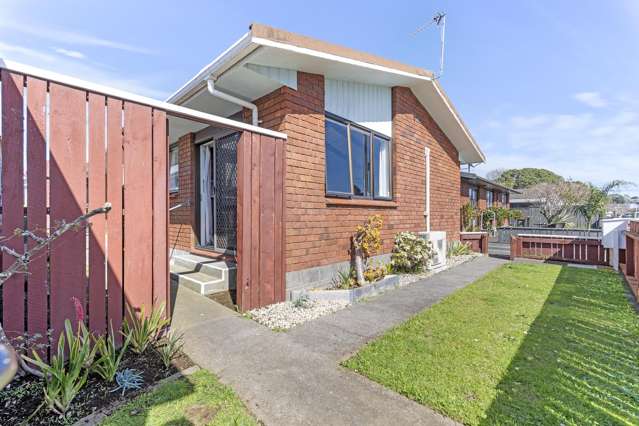 39A Fulford Street New Plymouth Central_2
