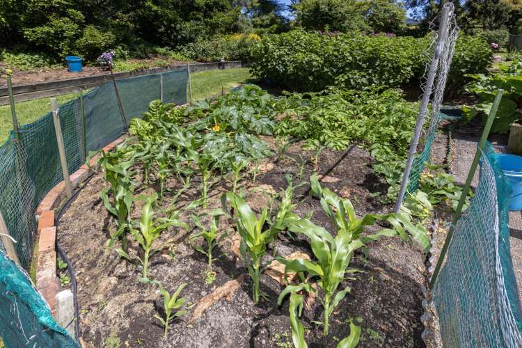 90-92 Kiwi Road Raumati Beach_12