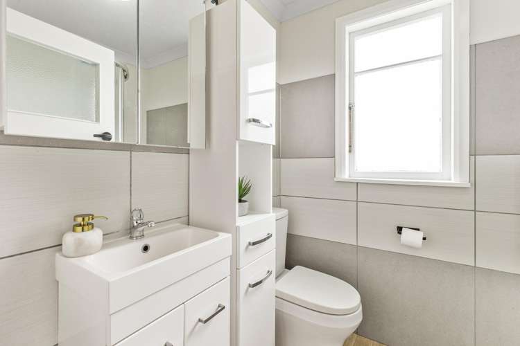 5 Nelson Street Levin_10