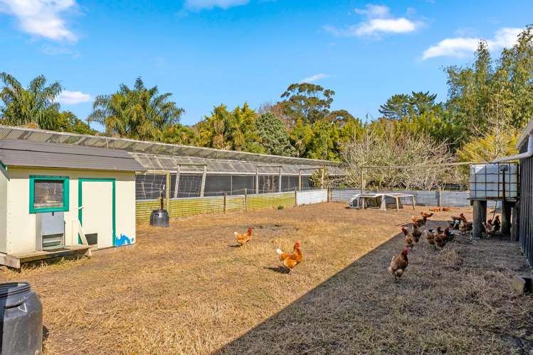 202 Muriwai Valley Road Muriwai_18