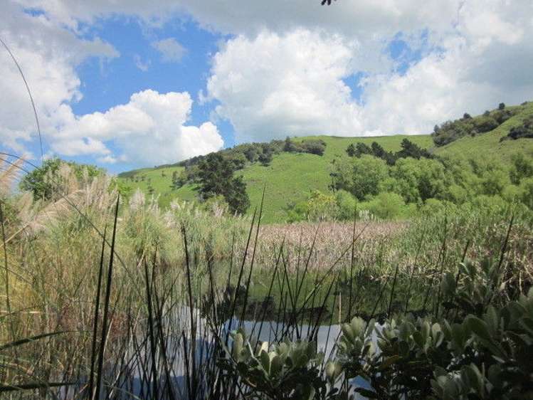 2 Blakes Approach Mahia_6