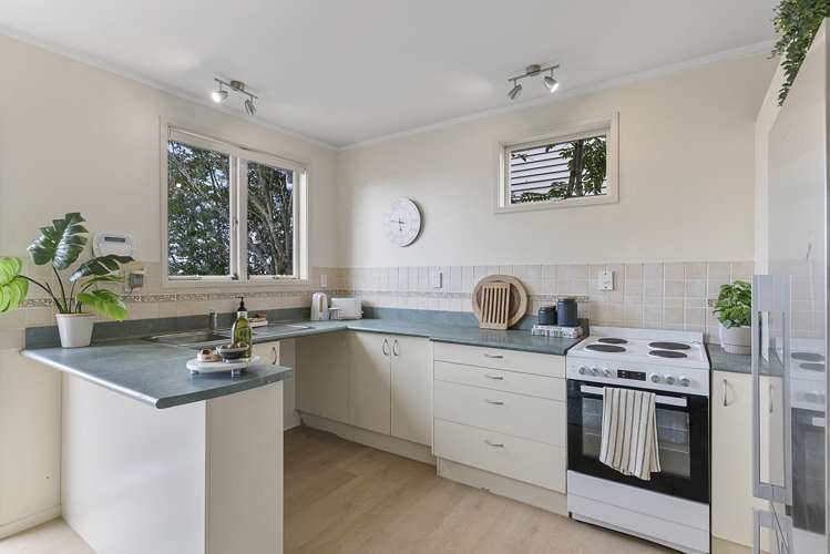 29 Ngatiawa Street One Tree Hill_8