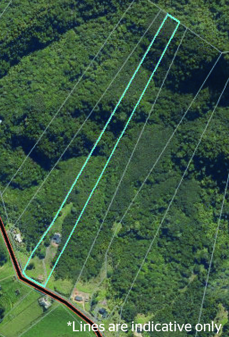 453 Mount Tiger Road Whareora_30