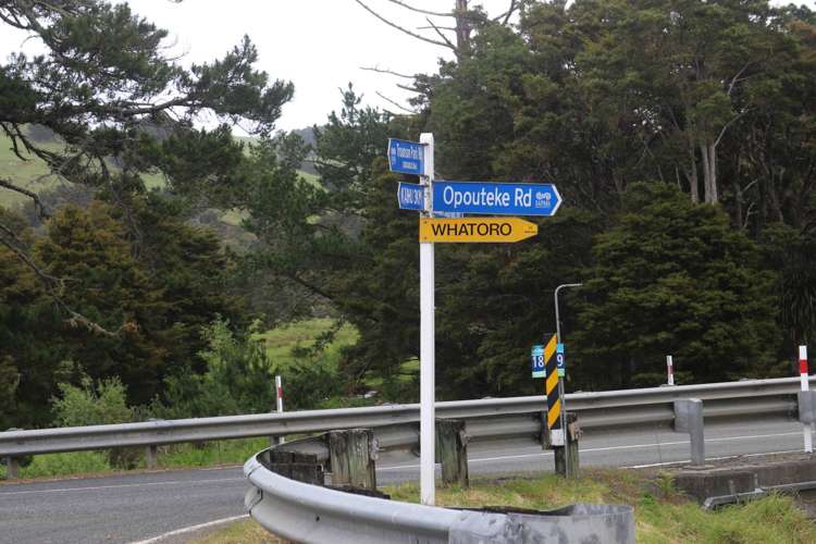 Opouteke Road Dargaville Surrounds_9