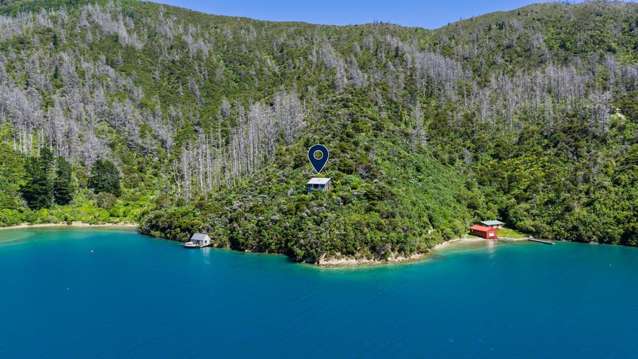 Architect's own classic bach