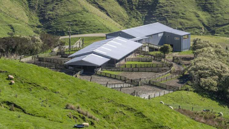 419 Daggs Road Bideford_13