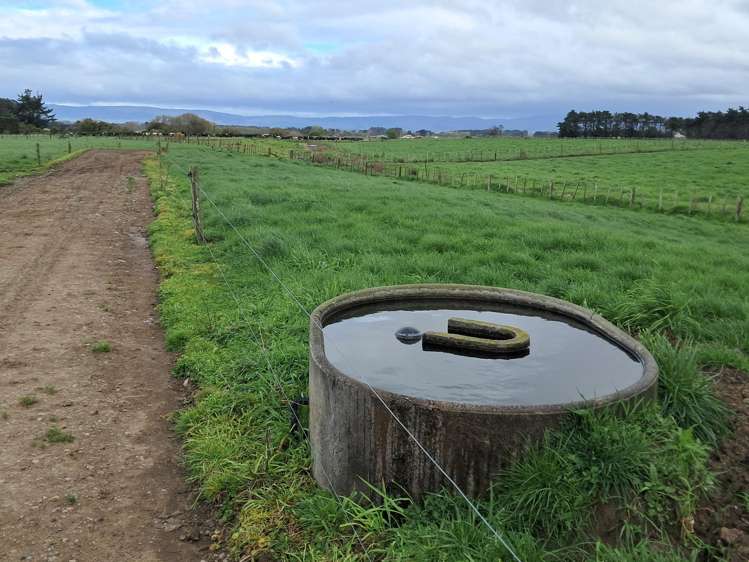 1040 Roberts Line Bunnythorpe_55