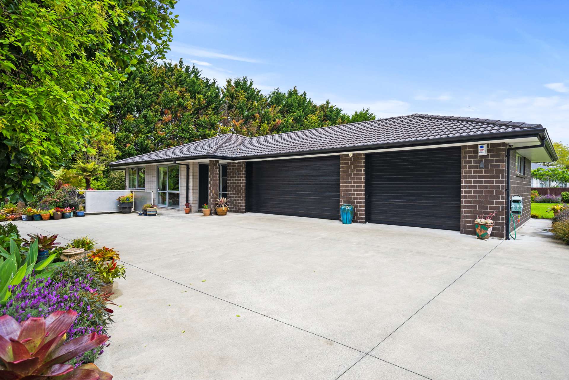 20a Ngunguru Road Glenbervie_0