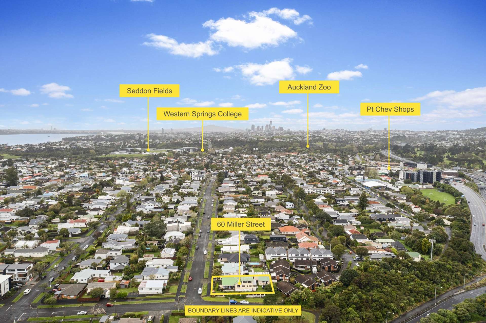 60 Miller Street Point Chevalier_0