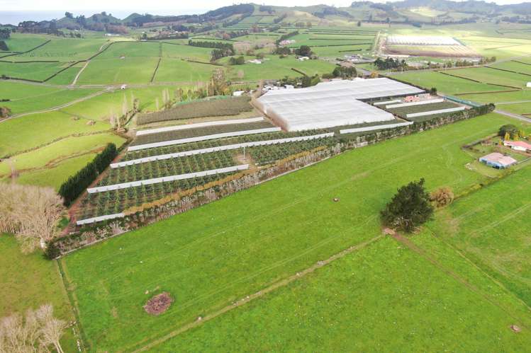 263 Waihi Beach Road Waihi_26