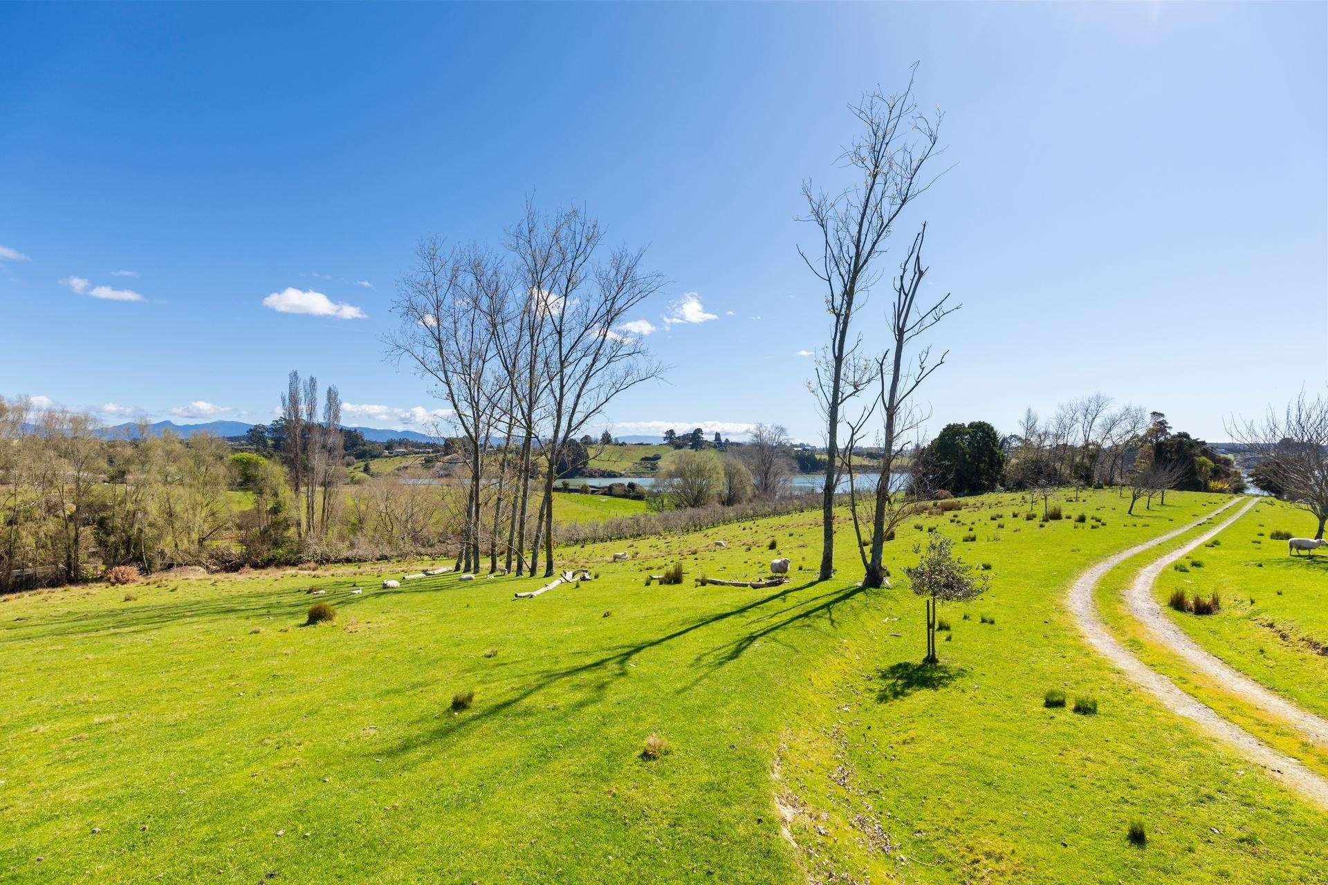 12 Pukeko Lane Redwood Valley_0