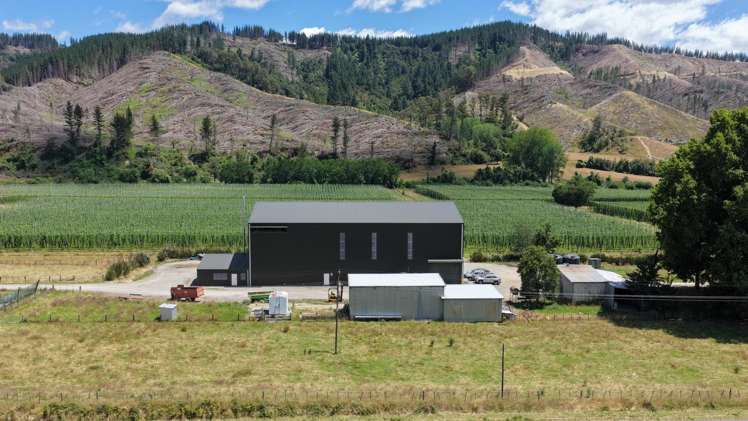 390 Tadmor Valley Road Tapawera_10