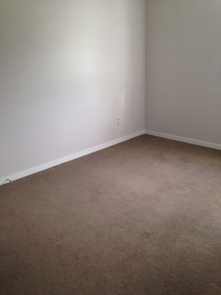 105a Kiwi Road Whangamata_5