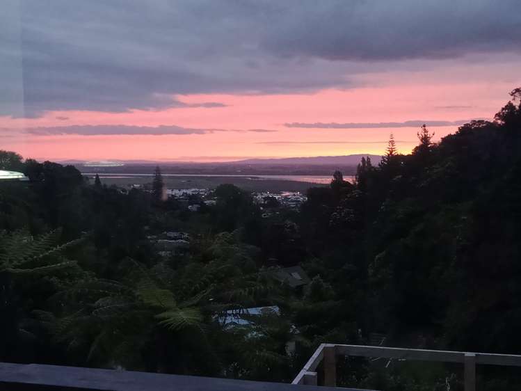 113 Collarbone Road Thames_23