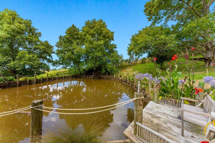 46 Hamilton Road Warkworth_13