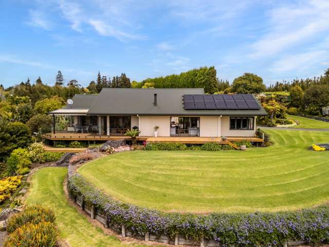 43Z Blue Gum Lane Kerikeri_4