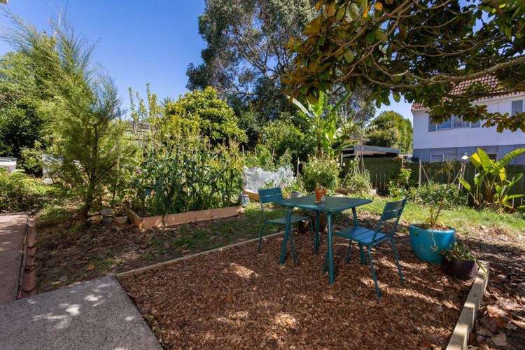 1/49 Seabrook Avenue New Lynn_15