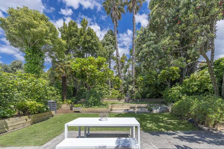 44 Second Avenue Kingsland_9