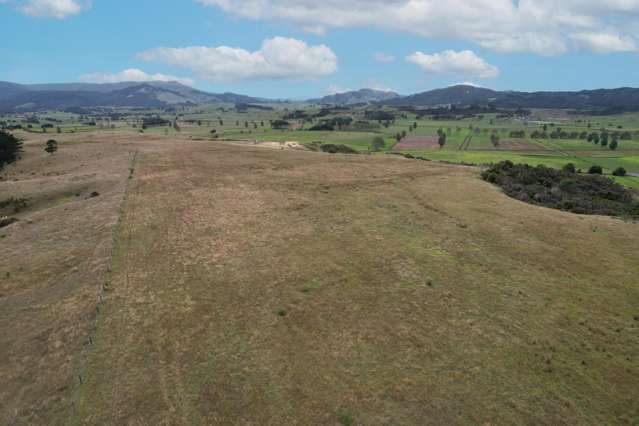 State Highway 12 Dargaville_3