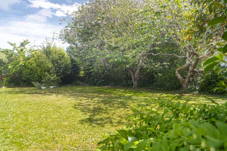 13 Mole Street Greytown_24