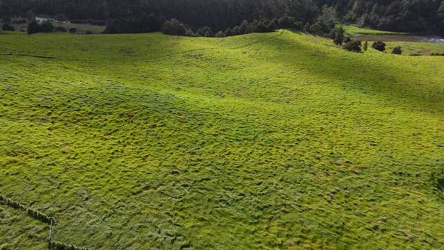 Waimatenui Road Waimatenui_3