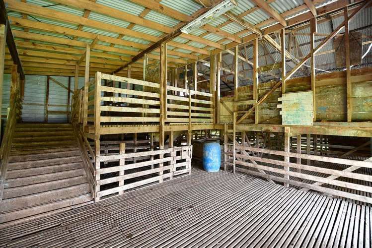 88 Rapson Road Waitoki_21