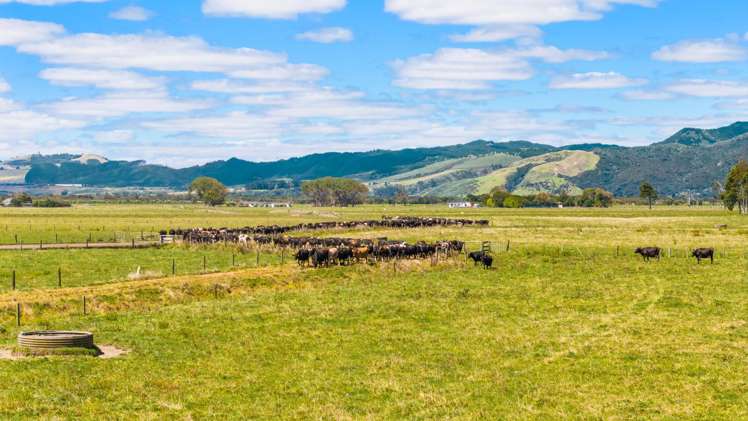 351 Otaua Road Waiuku_11