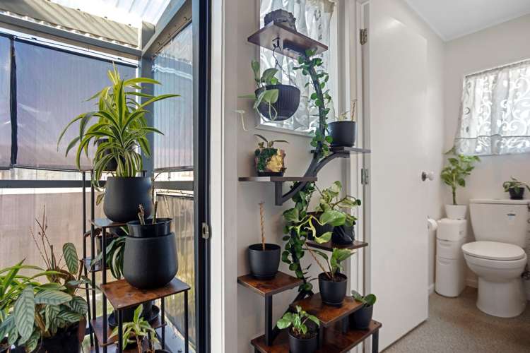 125A Park Road Katikati_10