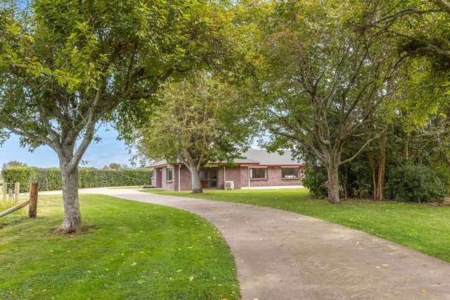 4599 State Highway 29 Matamata_3