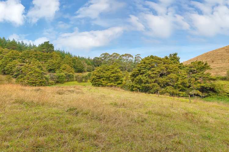 259a Taraunui Road Parua Bay_14