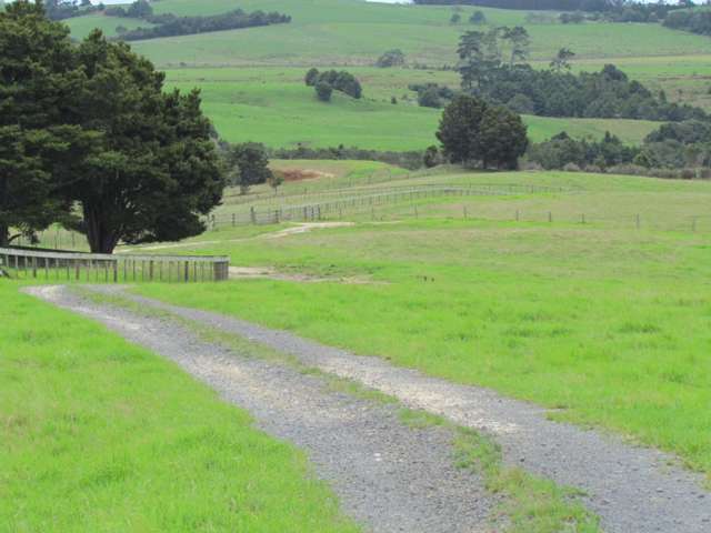 300 Gumtown Road Kamo_3