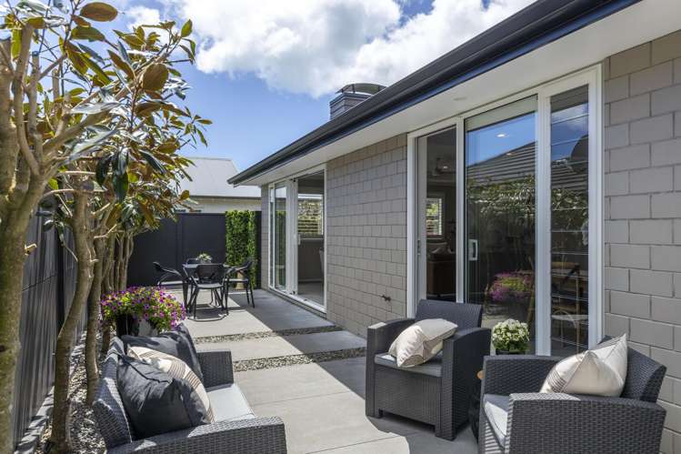 175A Carrington Street Lower Vogeltown_6