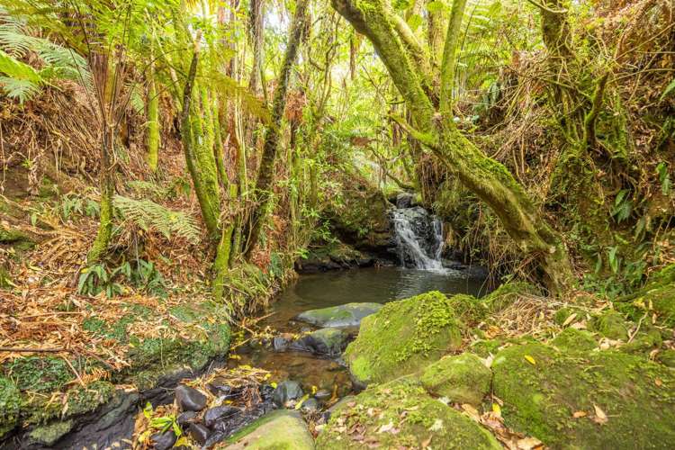 88 Scott Rd Te Awamutu_35