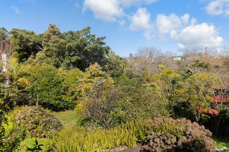 12 Stratford Street Parnell_7