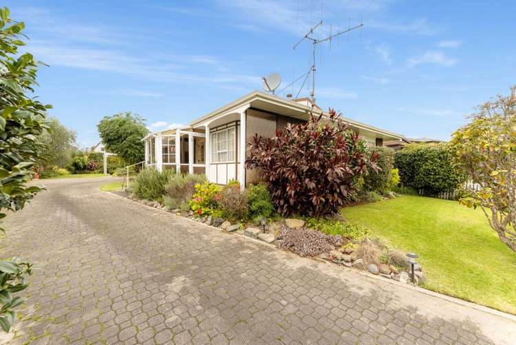 3A Benjamin Place Matua_2