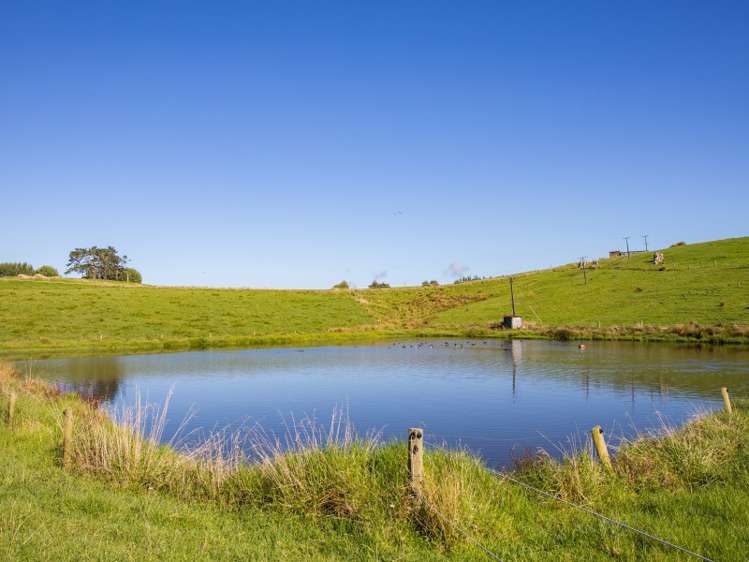 450a Settlement Road Kaiwaka_4