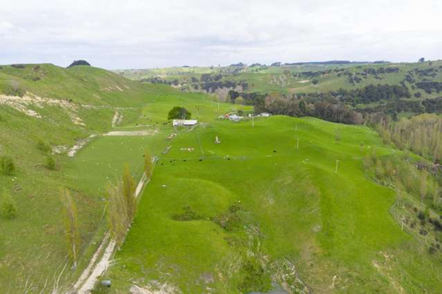 1250 Kaukatea Valley Road Okoia_3