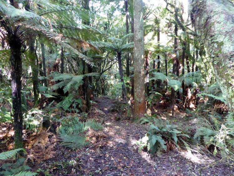 1278 Poihipi Road Oruanui_6