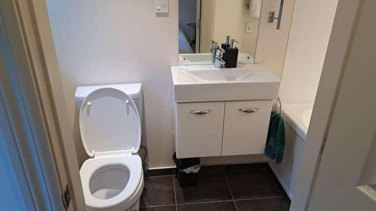 8 Dawson Street Berhampore_15