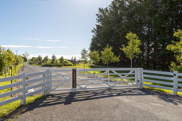 Phelps Way Morisons Bush_2