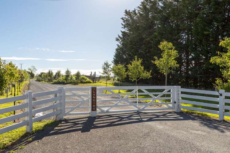 Phelps Way Morisons Bush_2