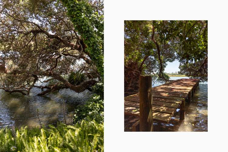 37 Pohutukawa Drive Athenree_23