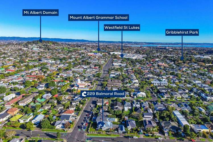 229 Balmoral Road Balmoral_27