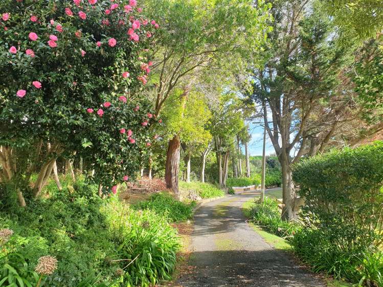 46 Bennett Street Paeroa_12