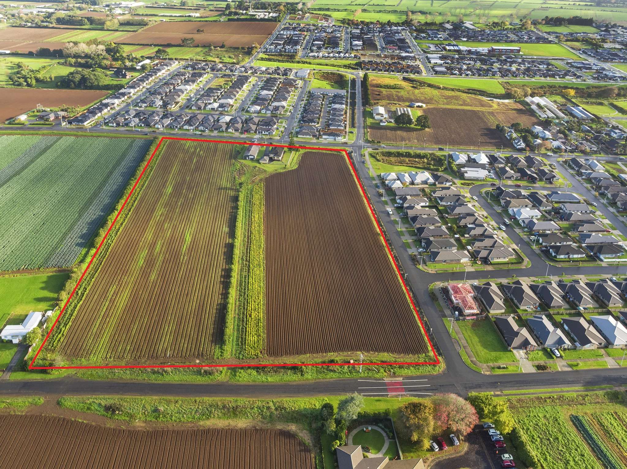 Developer’s $9.66m gamble on South Auckland potato field