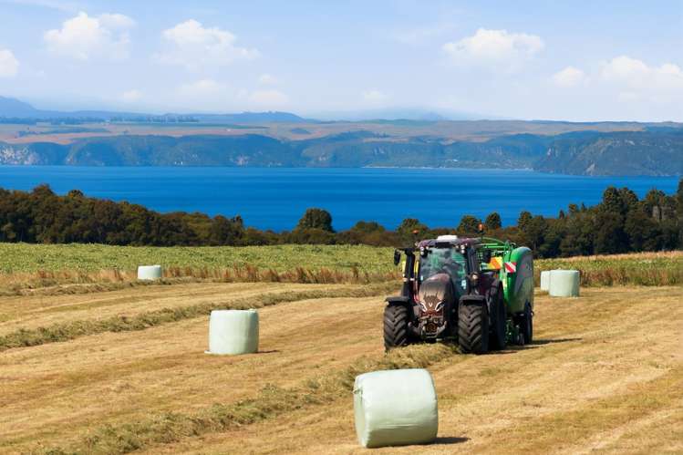 550 Puketapu Road Marotiri_12