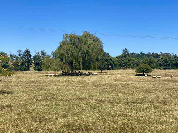 11 Horton Road Tasman_22