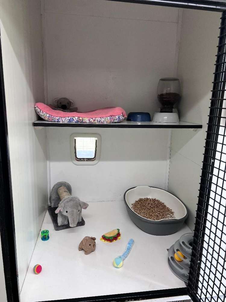 128 Mako Mako Road Levin_27